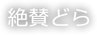 絶品どら DORAYAKI